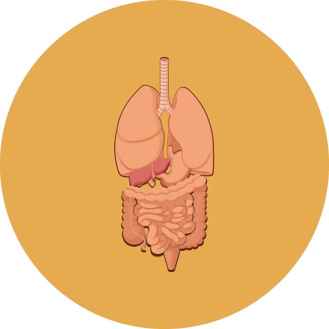 cover_image
