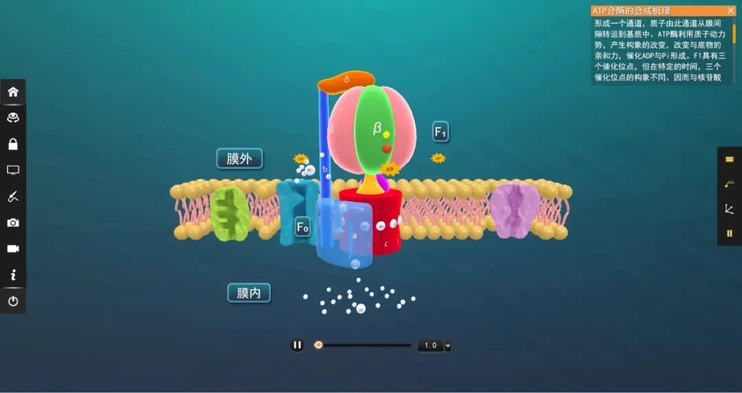 cover_image