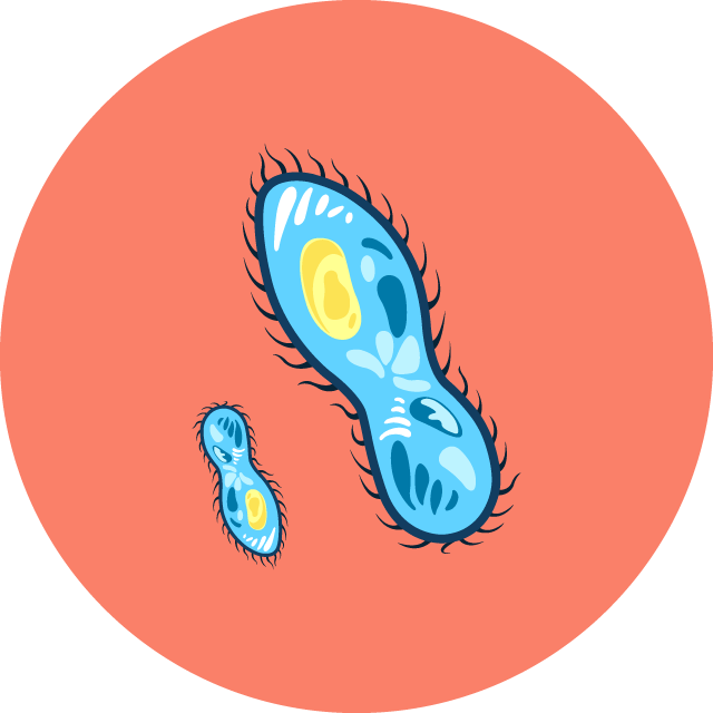 cover_image