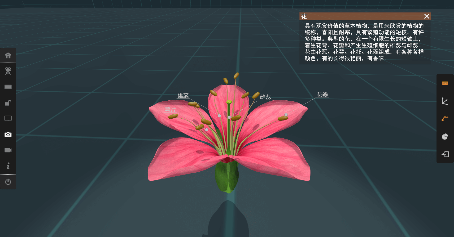 花