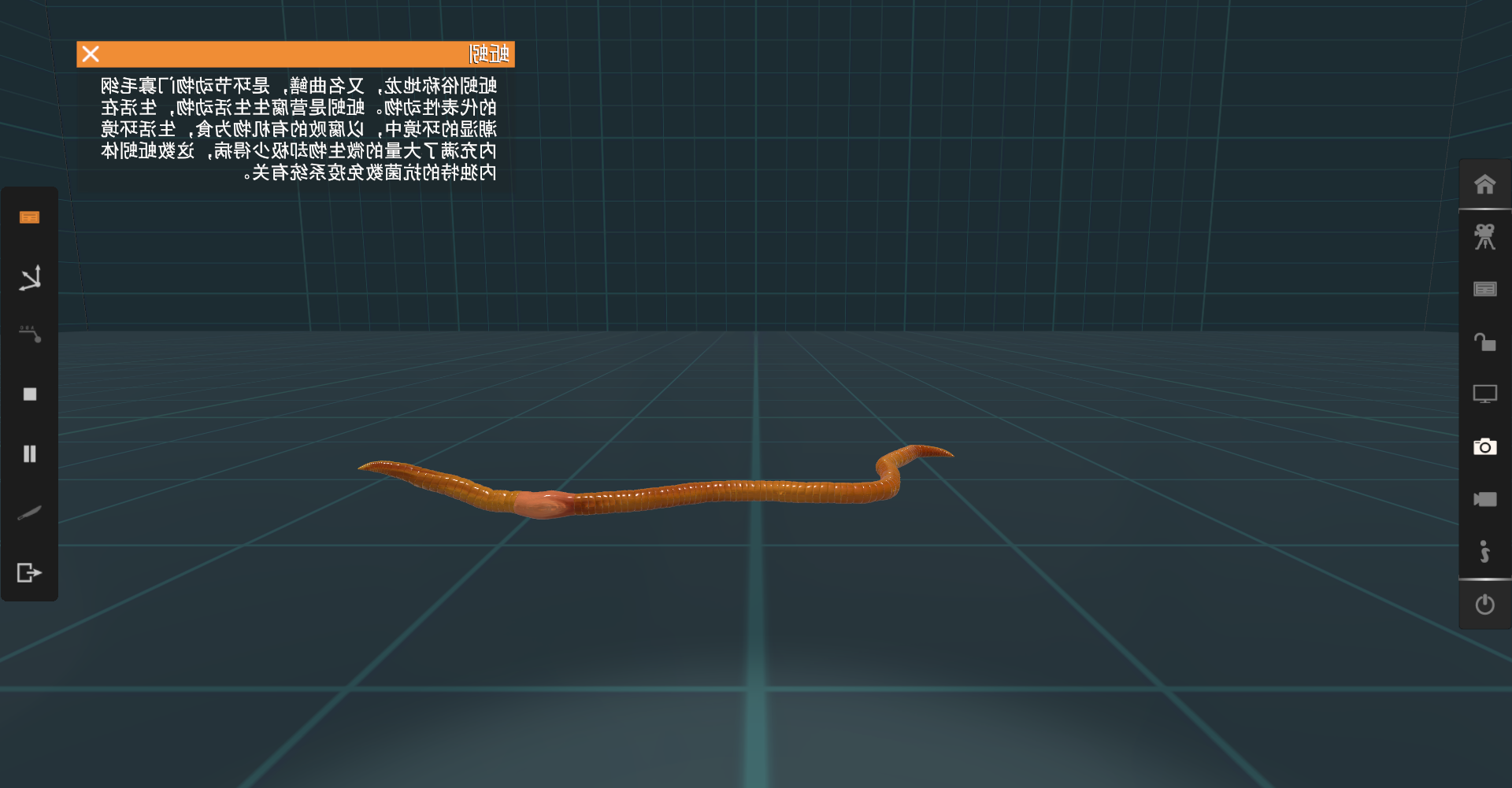 蚯蚓