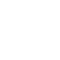 演示视频