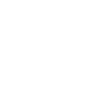 演示视频